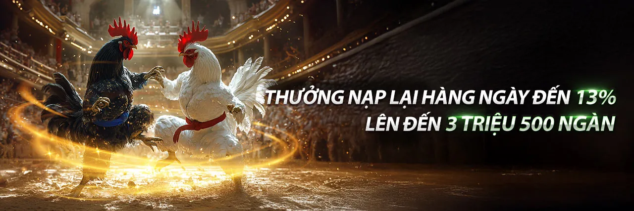 Đá Gà Trực Tuyến 8Kbet8 Khuyến Mãi Hấp Dẫn
